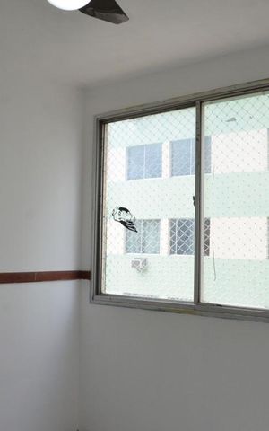 Apartamento à venda com 65m², 2 quartos e 1 vaga Quarto 1