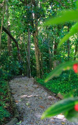 Apartamento para alugar com 80m², 2 quartos e 1 vagaÁrea Comum - bosque