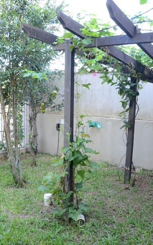 Casa para alugar com 350m², 4 quartos e 2 vagasÁrea externa