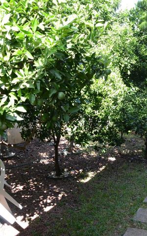 Casa para alugar com 350m², 4 quartos e 2 vagasÁrea externa