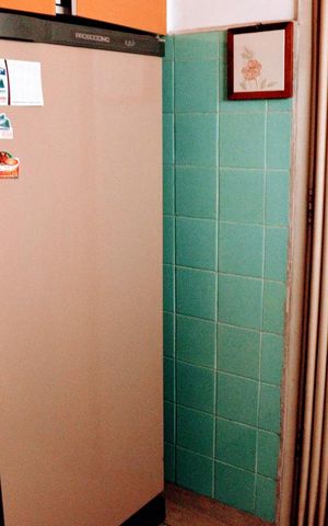 Apartamento à venda com 67m², 2 quartos e sem vagaCozinha