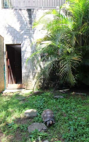 Casa à venda com 352m², 4 quartos e 5 vagasÁrea comum