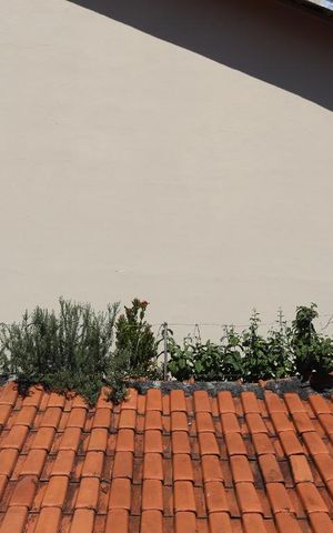 Casa à venda com 60m², 2 quartos e 2 vagasVista do Quarto 1