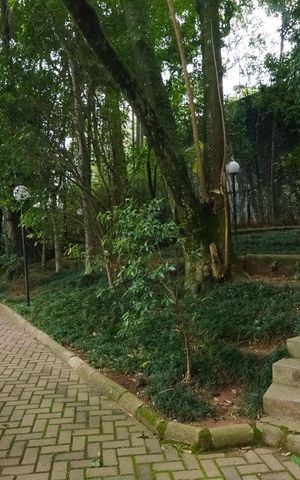 Apartamento à venda com 174m², 3 quartos e 3 vagasÁrea comum