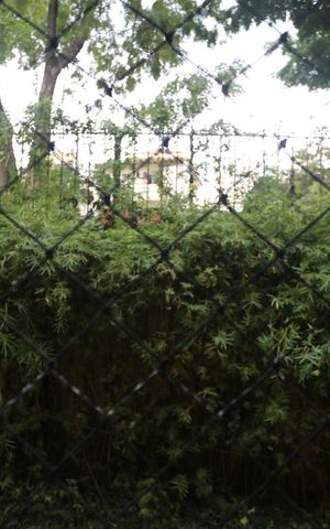 Apartamento à venda com 66m², 2 quartos e 1 vagaVista da Sala