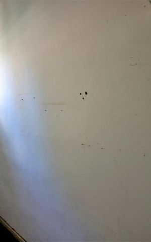 Apartamento para alugar com 120m², 3 quartos e sem vagaQuarto de Serviço