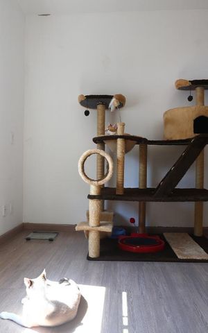 Casa de condomínio à venda com 90m², 3 quartos e 2 vagasSuíte