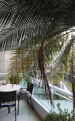 Apartamento à venda com 257m², 3 quartos e 4 vagasVaranda da Sala