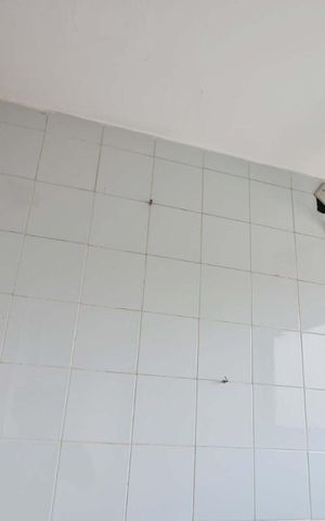 Apartamento à venda com 85m², 2 quartos e 1 vagaBanheiro de Serviços