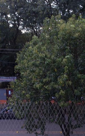 Casa de condomínio à venda com 300m², 4 quartos e 4 vagas Casa de condomínio à venda com 300m², 4 quartos e 4 vagasVista da Suíte 2