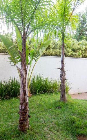 Apartamento para alugar com 80m², 2 quartos e 2 vagasVista da Sala