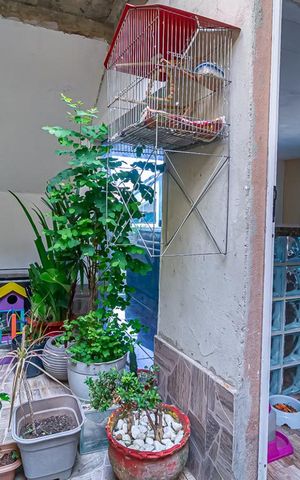 Casa à venda com 135m², 4 quartos e 1 vaga Casa à venda com 135m², 4 quartos e 1 vagaJardim de Inverno