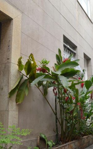 Apartamento à venda com 70m², 2 quartos e sem vagaEntrada