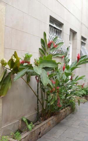 Apartamento à venda com 70m², 2 quartos e sem vagaEntrada