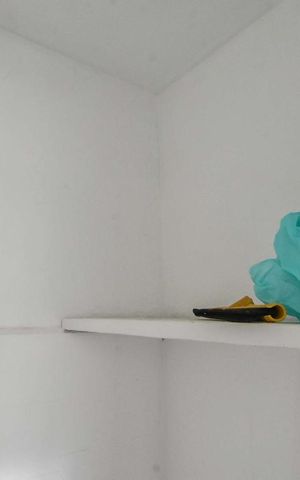 Apartamento para alugar com 64m², 3 quartos e 1 vagaÁrea de Serviço
