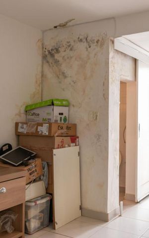 Casa à venda com 150m², 5 quartos e sem vagaSala 4