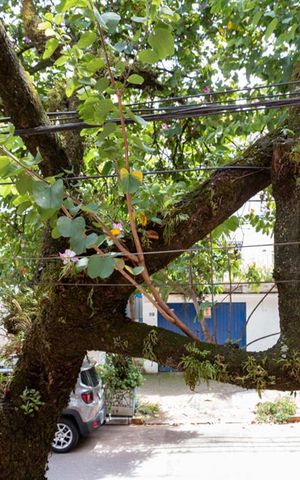 Casa à venda com 150m², 5 quartos e sem vagaQuarto 2