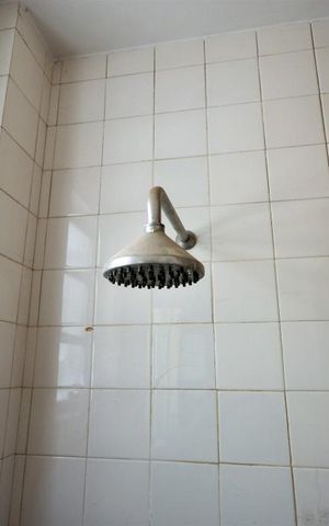 Apartamento à venda com 109m², 3 quartos e 1 vagaChuveiro