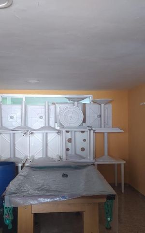 Apartamento à venda com 65m², 2 quartos e 1 vaga Apartamento à venda com 65m², 2 quartos e 1 vagaÁrea comum - Salão de festas
