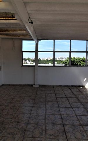 Casa para alugar com 275m², 5 quartos e 4 vagasÁrea aberta na coberutra