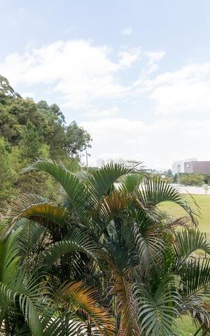 Apartamento para alugar com 50m², 2 quartos e 1 vagaVista área de serviço