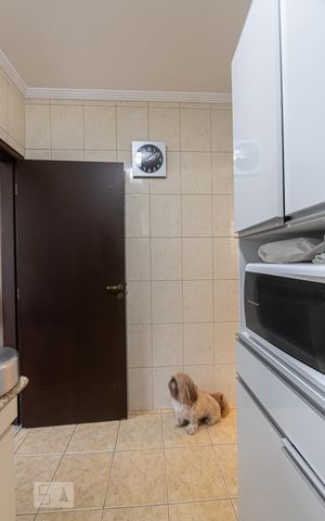 Casa à venda com 300m², 2 quartos e 1 vaga Casa à venda com 300m², 2 quartos e 1 vagaCozinha