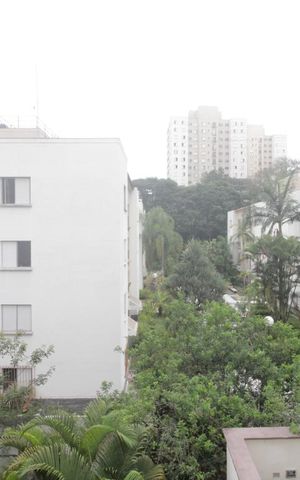Apartamento para alugar com 58m², 2 quartos e 1 vagaVista do quarto 2
