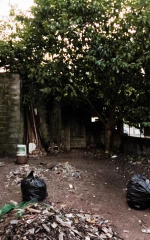 Casa à venda com 258m², 4 quartos e 3 vagas Casa à venda com 258m², 4 quartos e 3 vagasQuintal