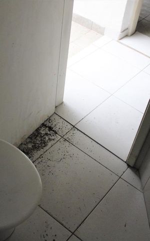 Casa à venda com 100m², 4 quartos e 1 vagaBanheiro de serviço