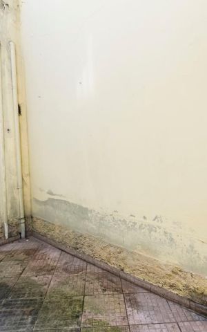 Casa à venda com 422m², 5 quartos e 3 vagasFundos
