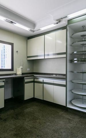 Apartamento à venda com 260m², 5 quartos e 4 vagasCozinha - Armários
