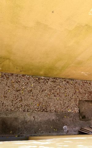 Casa de condomínio à venda com 128m², 3 quartos e 2 vagasVista