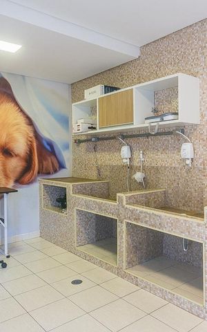 Apartamento à venda com 50m², 2 quartos e 1 vaga Apartamento à venda com 50m², 2 quartos e 1 vagaArea Comum Pet Space