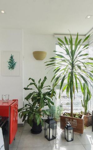 Apartamento para alugar com 110m², 3 quartos e 2 vagasVaranda Gourmet