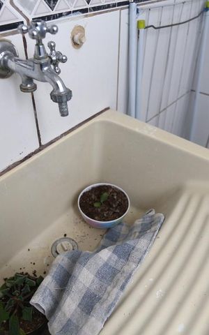 Apartamento à venda com 44m², 2 quartos e 1 vagaÁrea de Serviço - Tanque