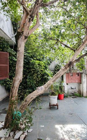 Casa à venda com 150m², 5 quartos e 3 vagasQuintal