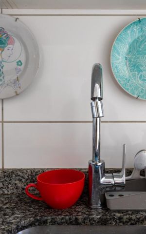 Apartamento à venda com 47m², 2 quartos e 1 vagaCozinha - Torneira