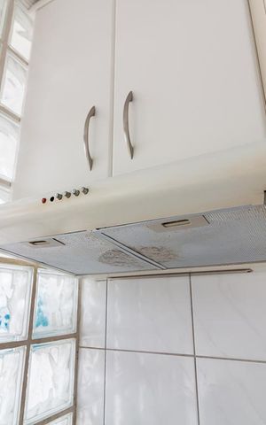 Apartamento à venda com 64m², 2 quartos e 1 vagaCozinha - depurador