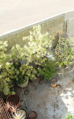 Apartamento para alugar com 130m², 3 quartos e sem vagaVista