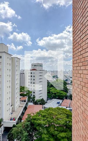 Apartamento para alugar com 230m², 3 quartos e 3 vagasVista da Suíte