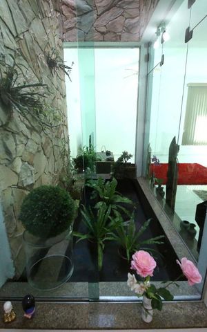 Casa à venda com 206m², 4 quartos e 6 vagasSala - Jardim de Inverno
