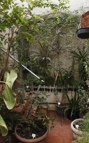 Casa à venda com 400m², 8 quartos e 1 vagaJardim de Inverno