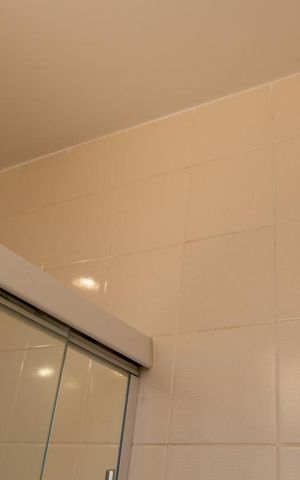 Apartamento para alugar com 55m², 1 quarto e 1 vagaBanheiro - detalhe