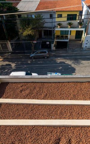 Apartamento para alugar com 155m², 1 quarto e 1 vagaVista
