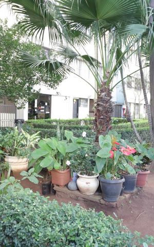 Apartamento para alugar com 57m², 2 quartos e 1 vagaArea comum