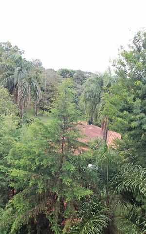 Apartamento para alugar com 53m², 2 quartos e 1 vagaVista