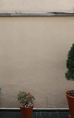 Apartamento à venda com 70m², 2 quartos e 1 vagaVista da Sala