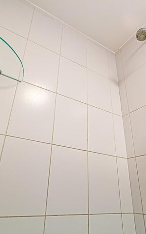 Apartamento para alugar com 85m², 2 quartos e 1 vaga Apartamento para alugar com 85m², 2 quartos e 1 vagaBanheiro Social