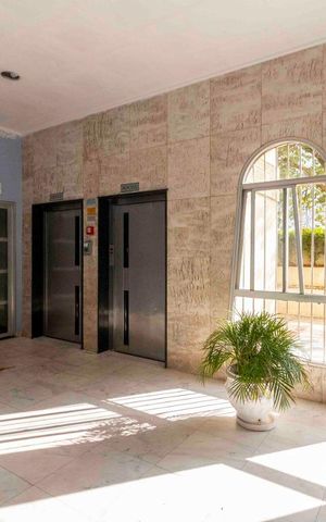 Apartamento à venda com 110m², 3 quartos e 2 vagas Apartamento à venda com 110m², 3 quartos e 2 vagasHall de Entrada