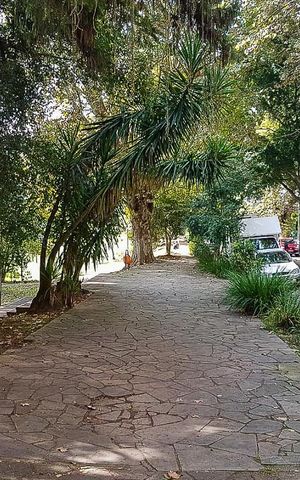 Apartamento para alugar com 100m², 3 quartos e sem vaga